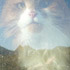 Katze