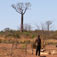 madagaskar8