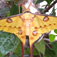 madagaskar14
