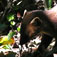 madagaskar20
