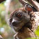 madagaskar30