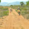 madagaskar40