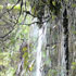 Levada