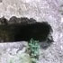 Levada
