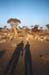 namibia01