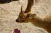 namibia05