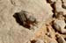 namibia09