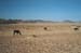 namibia13