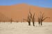 namibia17