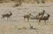 namibia30