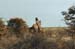 namibia31