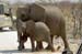 namibia32