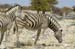 namibia36
