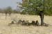 namibia37