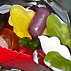 Haribo