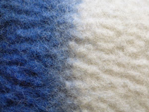 nase_blau_s