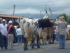 web_costarica_44